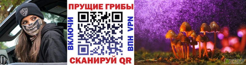 закладки  Троицк  Галлюциногенные грибы ЛСД 